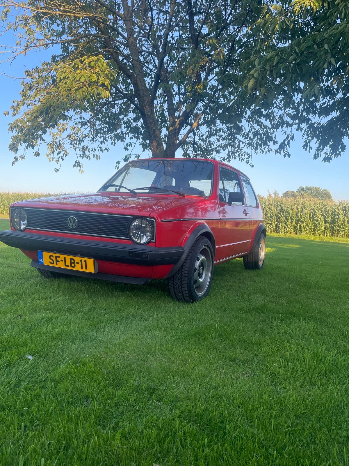 Volkswagen Golf 1.5 CL 1982 Rood, 440 kg, Stof, 4 cilinders, 764 kg