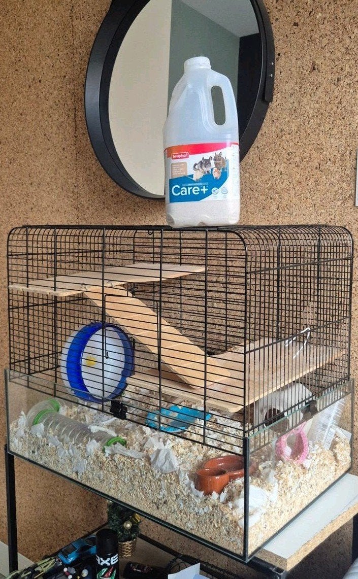 Complete hamsterkooi, veel accessoires!!, Ophalen, Zo goed als nieuw, Loopwiel of Rad