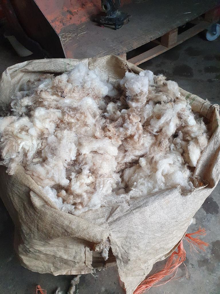 witte schapen wol,  gratis, Ophalen, Niet werkend, Spinwol