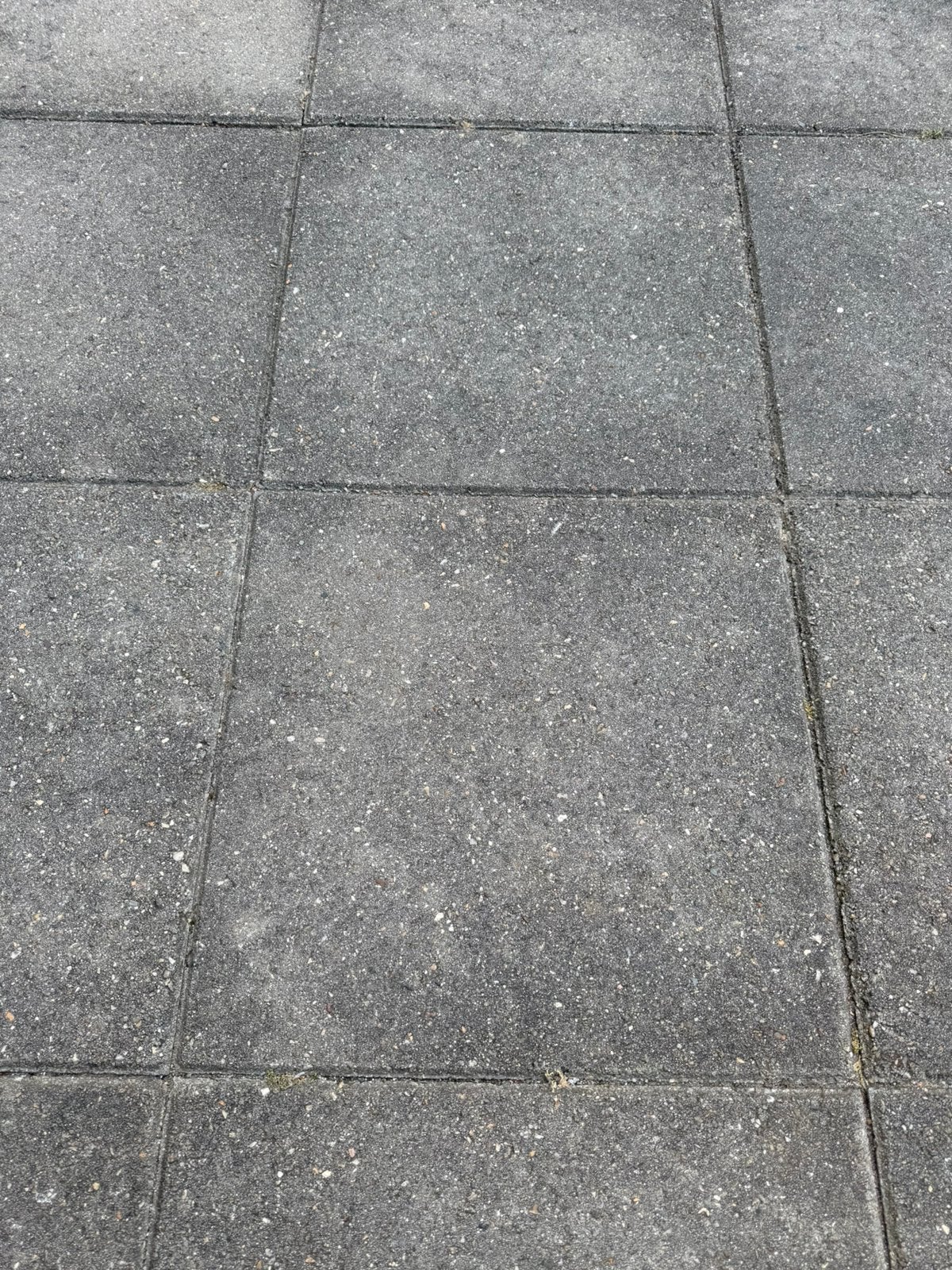 Terrastegels 50x50 gratis afhalen/eruit halen, Ophalen, Zo goed als nieuw, Beton, Terrastegels