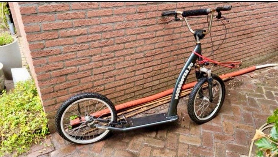 Dogscooter - Ideaal voor bewegen samen met de hond, Fietsen en Brommers, Ophalen, Gebruikt, Overige typen