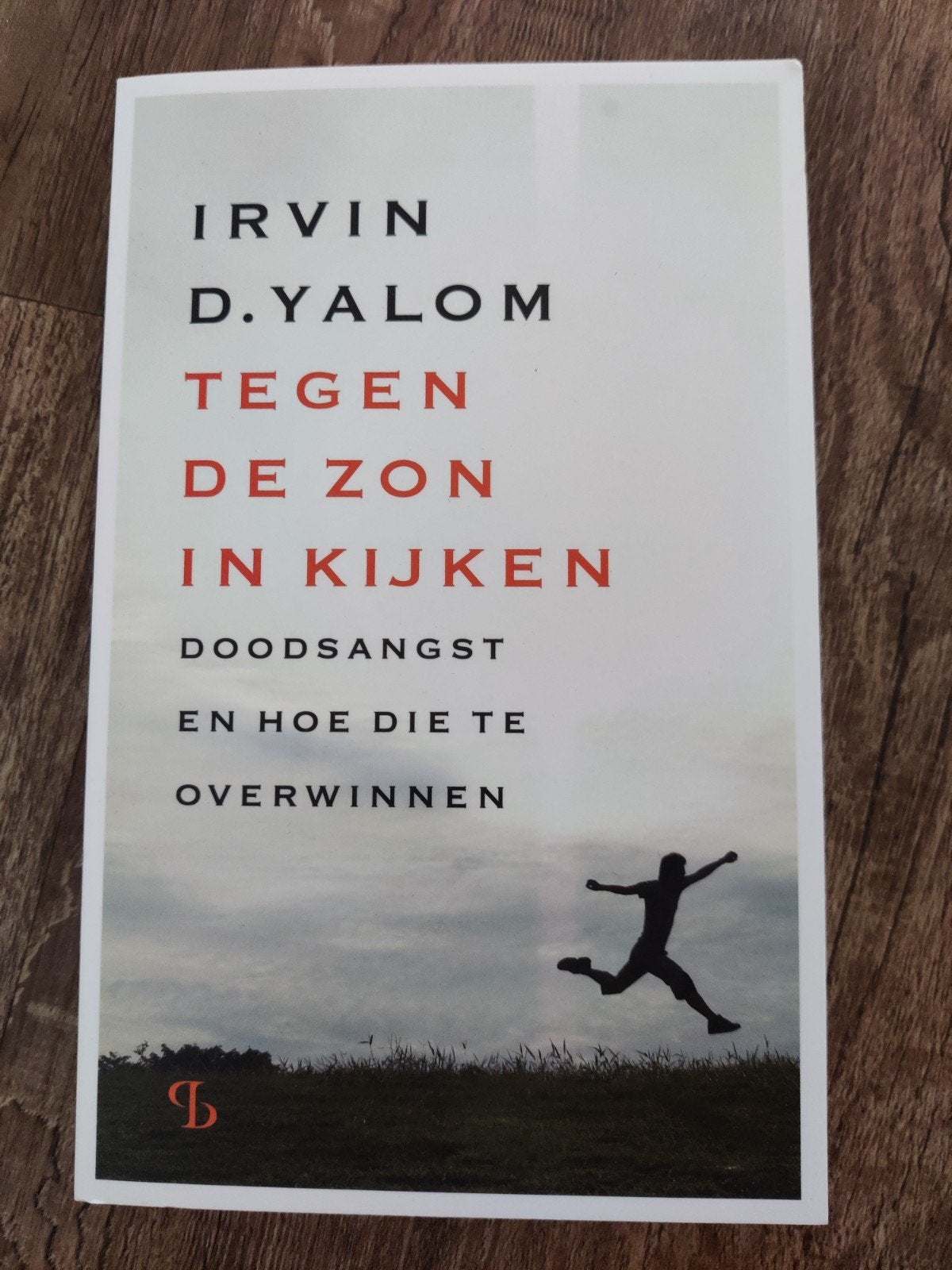 Irvin D. Yalom - Tegen de zon in kijken, Boeken, Ophalen of Verzenden, Zo goed als nieuw, Irvin D. Yalom, Nederland