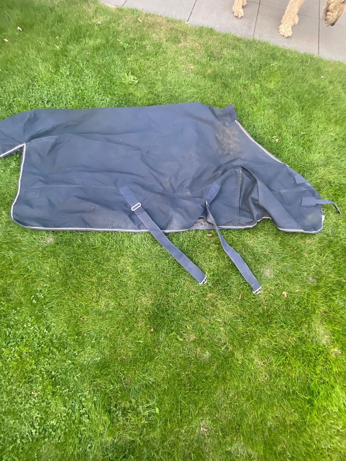 Te koop waldhausen regen deken 0gram, Dieren en Toebehoren, Gebruikt, Overige merken, Cob (M), Ophalen of Verzenden