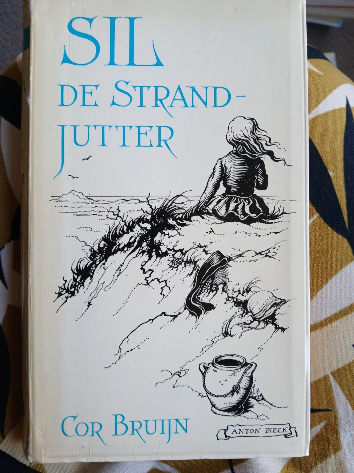 Cor Bruijn.  Sil de strandjutter, Boeken, Ophalen, Gelezen