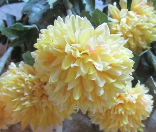 OPRUIMING - KUNST POMPOM TAK VAN 2,50 NU 1,50, Ophalen of Verzenden, Nieuw