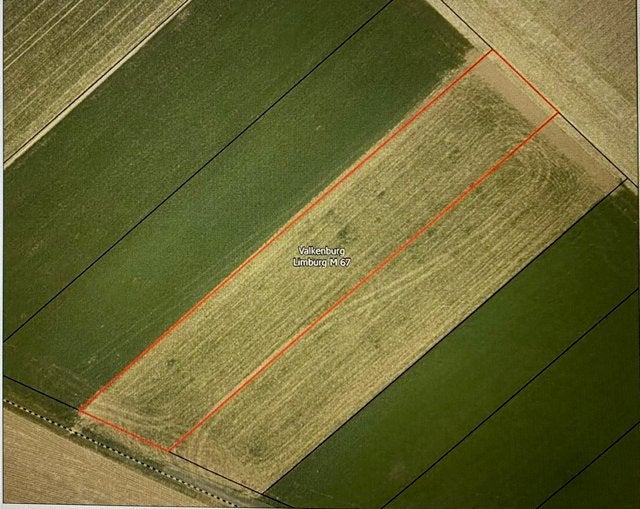 Perceel gemeente Valkenburg, Huizen en Kamers, Kavels en Percelen, 1500 m² of meer, Verkoop zonder makelaar