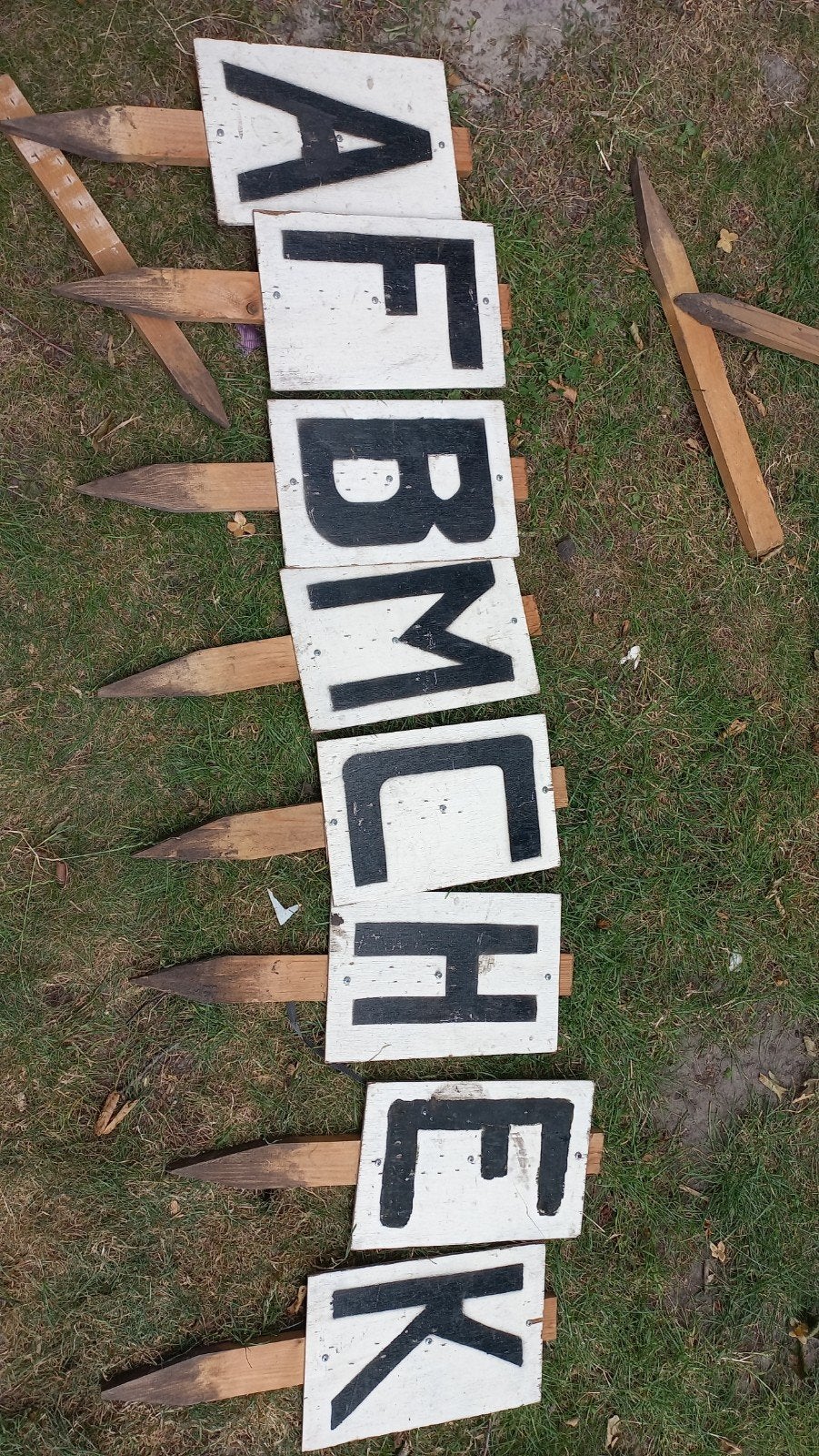 Letters dressuurbaan, Dieren en Toebehoren, Ophalen