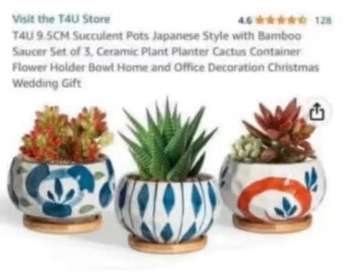 NIEUW! Succulent planten pot Japanse stijl set van 3 €5,99, Ophalen of Verzenden, Nieuw