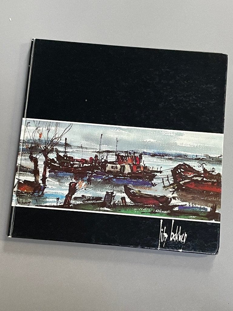  Jits Bakker beeldend kunstenaar, Boeken, Ophalen of Verzenden, Zo goed als nieuw, Schilder- en Tekenkunst