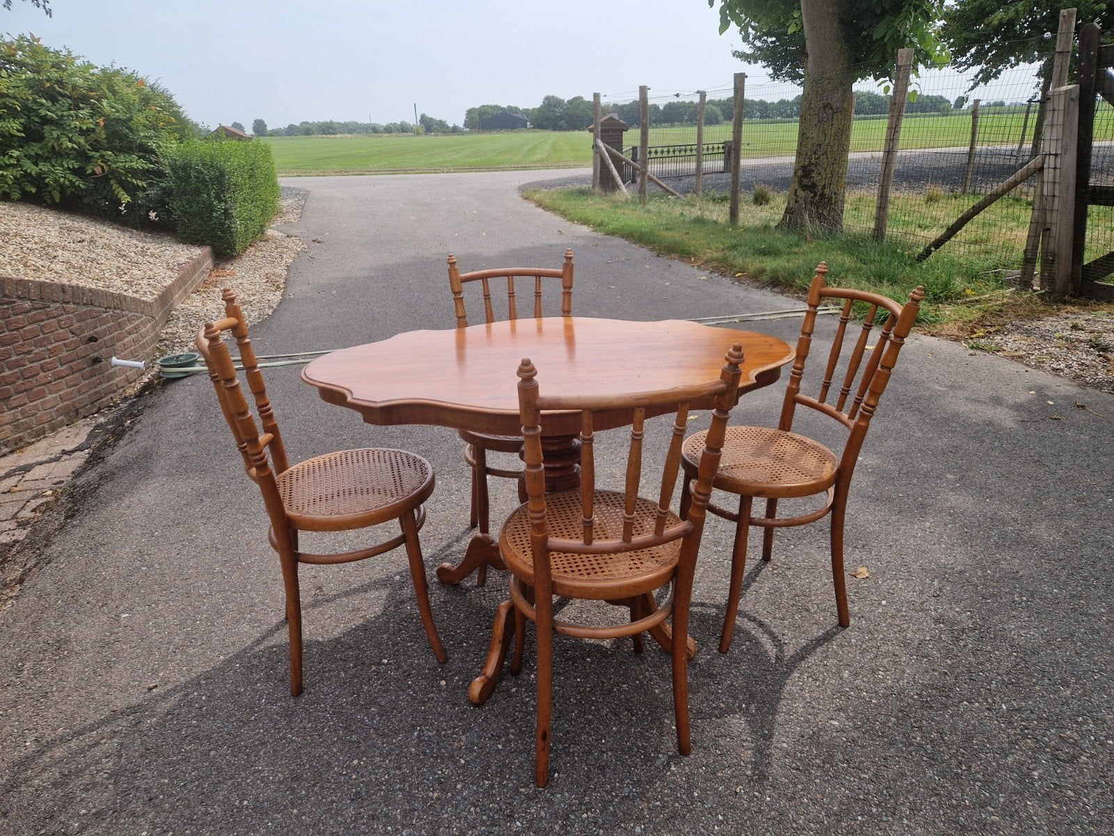 eethoek mahonie, Ophalen