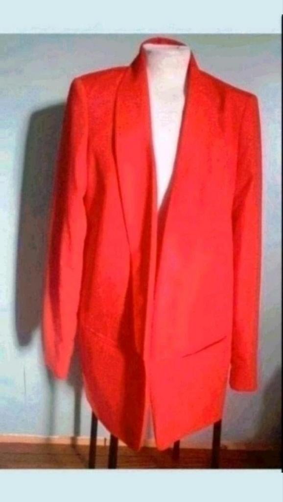 Steps mooi blazer, Kleding | Dames, Ophalen of Verzenden, Zo goed als nieuw, Maat 42/44 (L), Kostuum of Pak