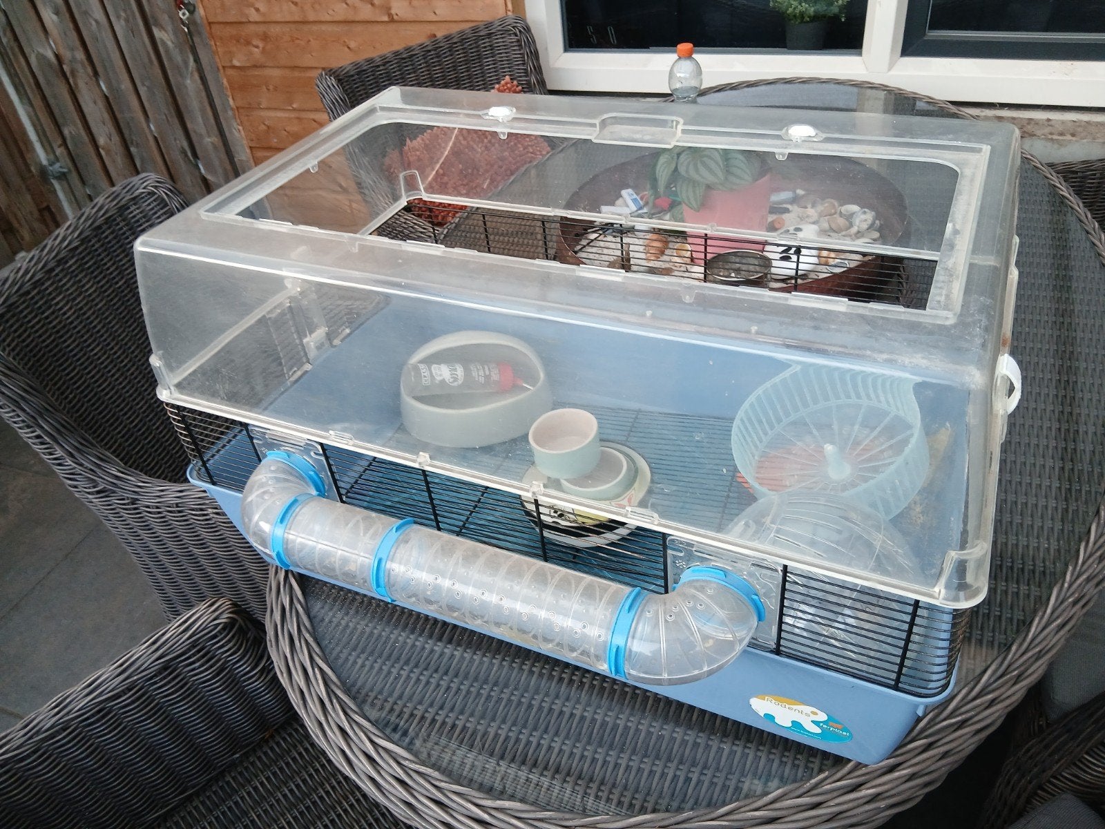 hamsterkooi, Dieren en Toebehoren, Kooi, Gebruikt, Minder dan 75 cm, Hamster
