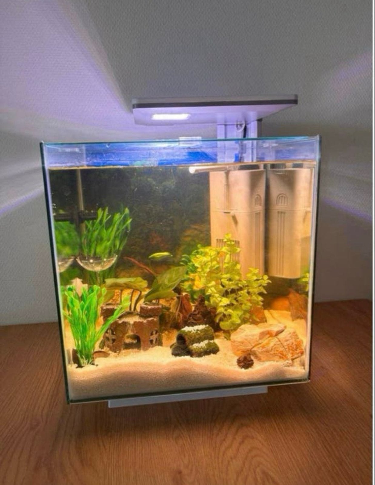 Vissen aquarium, Ophalen, Verwarming, Nieuw, Leeg aquarium