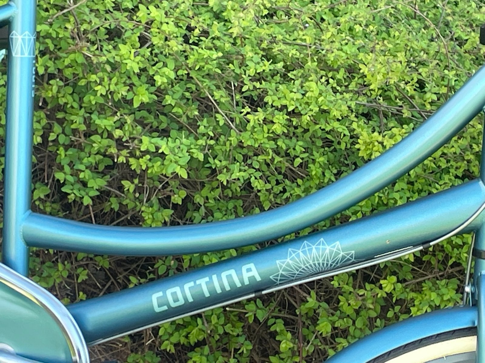 Cortina dames meisjes fiets 28 inch framemaat 50, Fietsen en Brommers, 50 tot 53 cm, Ophalen, Zo goed als nieuw