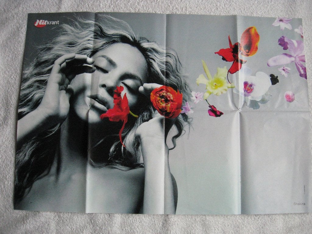 2 Posters SHAKIRA - uit Hitkranten (2003 - 2009 ?), Ophalen of Verzenden, Gebruikt, Poster, Artwork of Schilderij