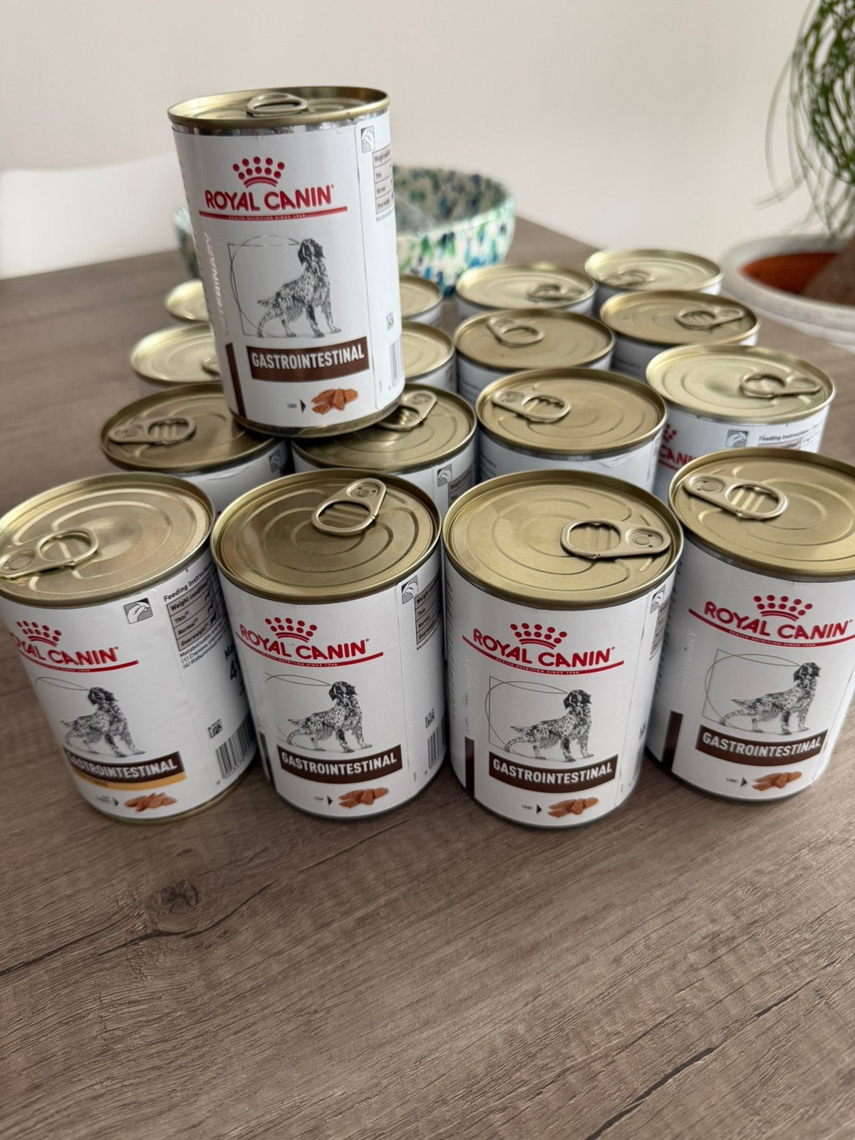 Royal Canin Gastro natvoer 17 x 400 gram, Ophalen of Verzenden, Hond