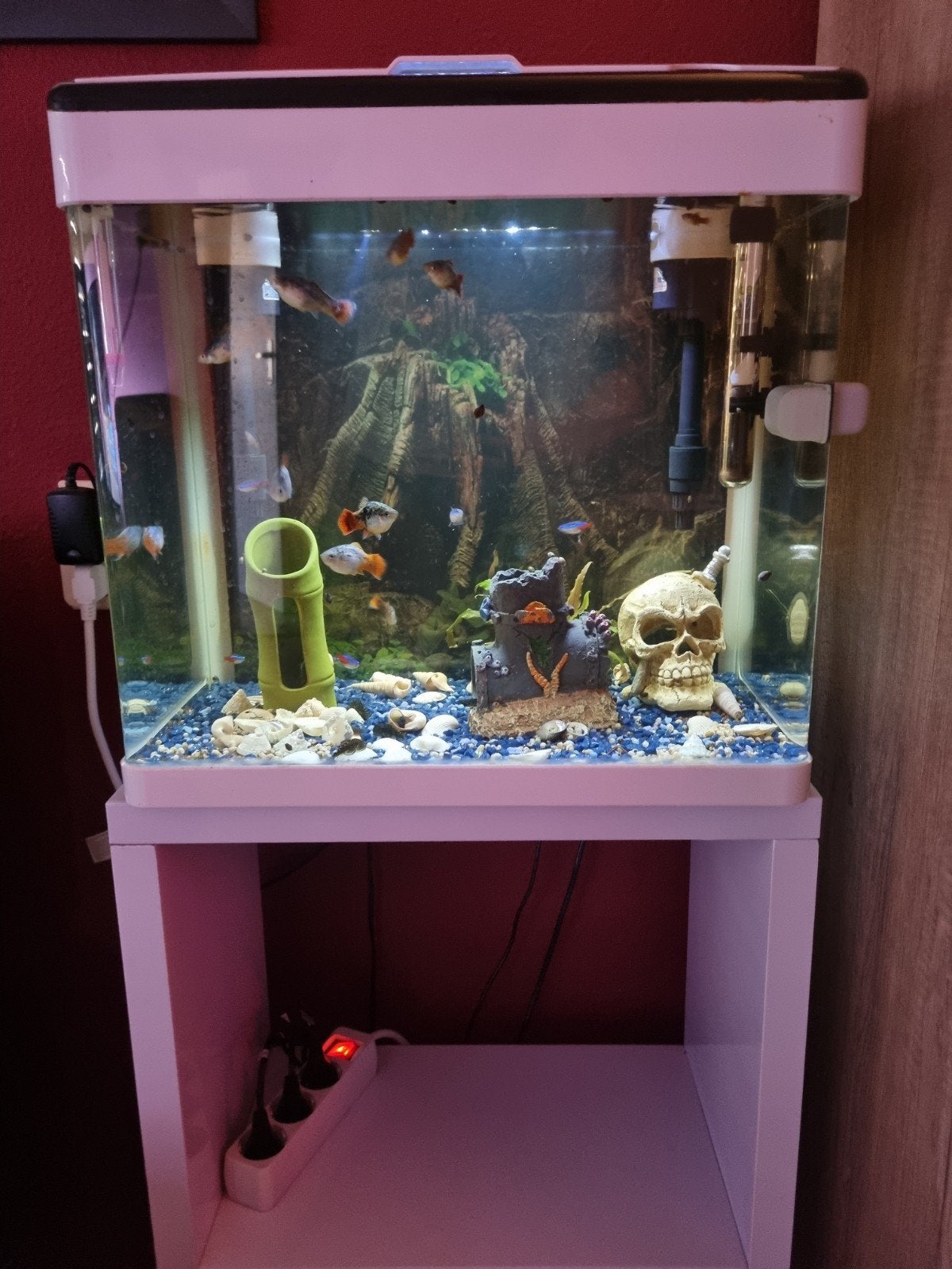 Superfish panorama 50 liter incl standaard en vissen, Ophalen, Gevuld zoetwateraquarium
