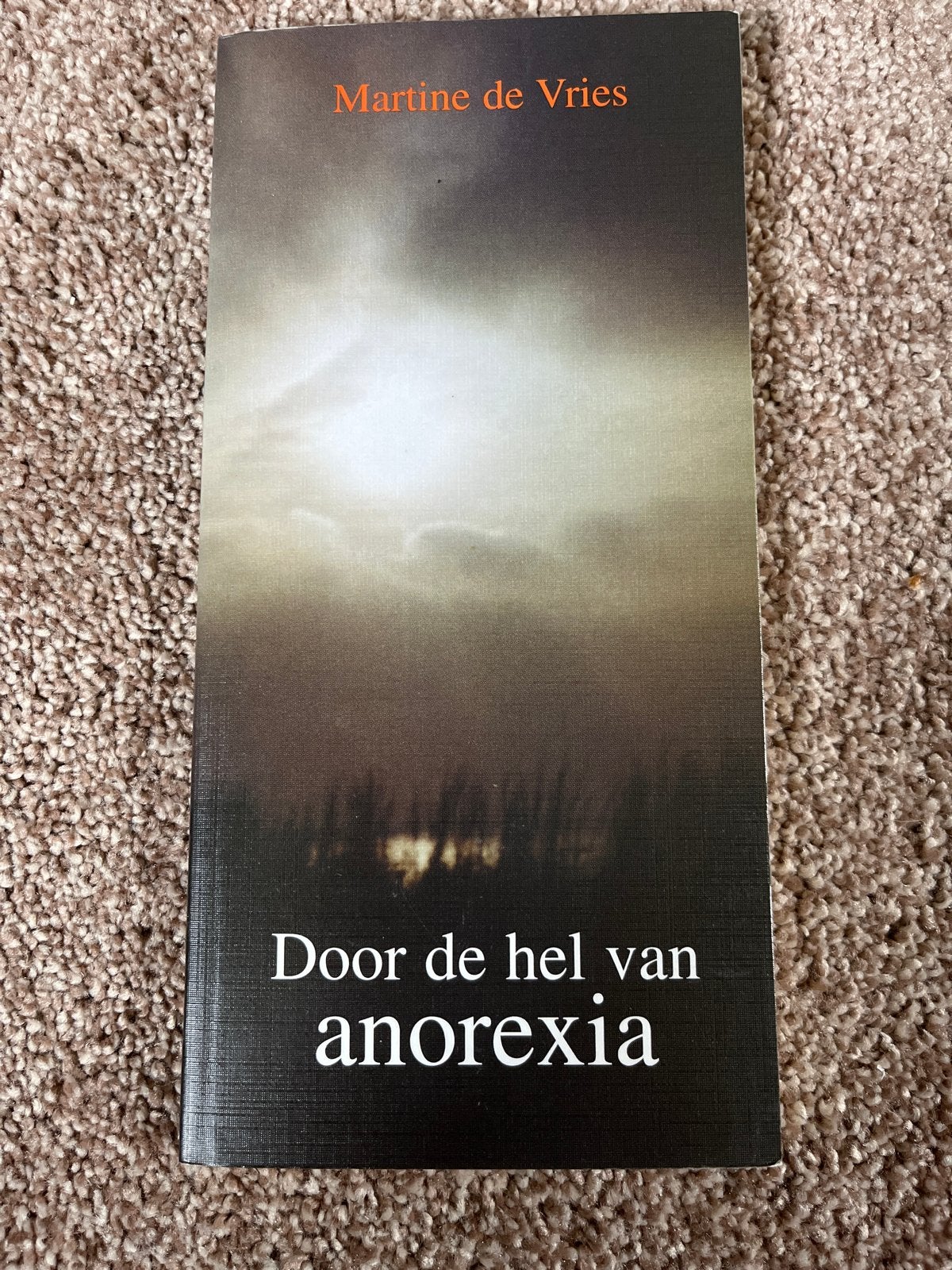 Martine de Vries - Door de hel van anorexia, Gelezen, Overige, Martine de Vries, Ophalen of Verzenden