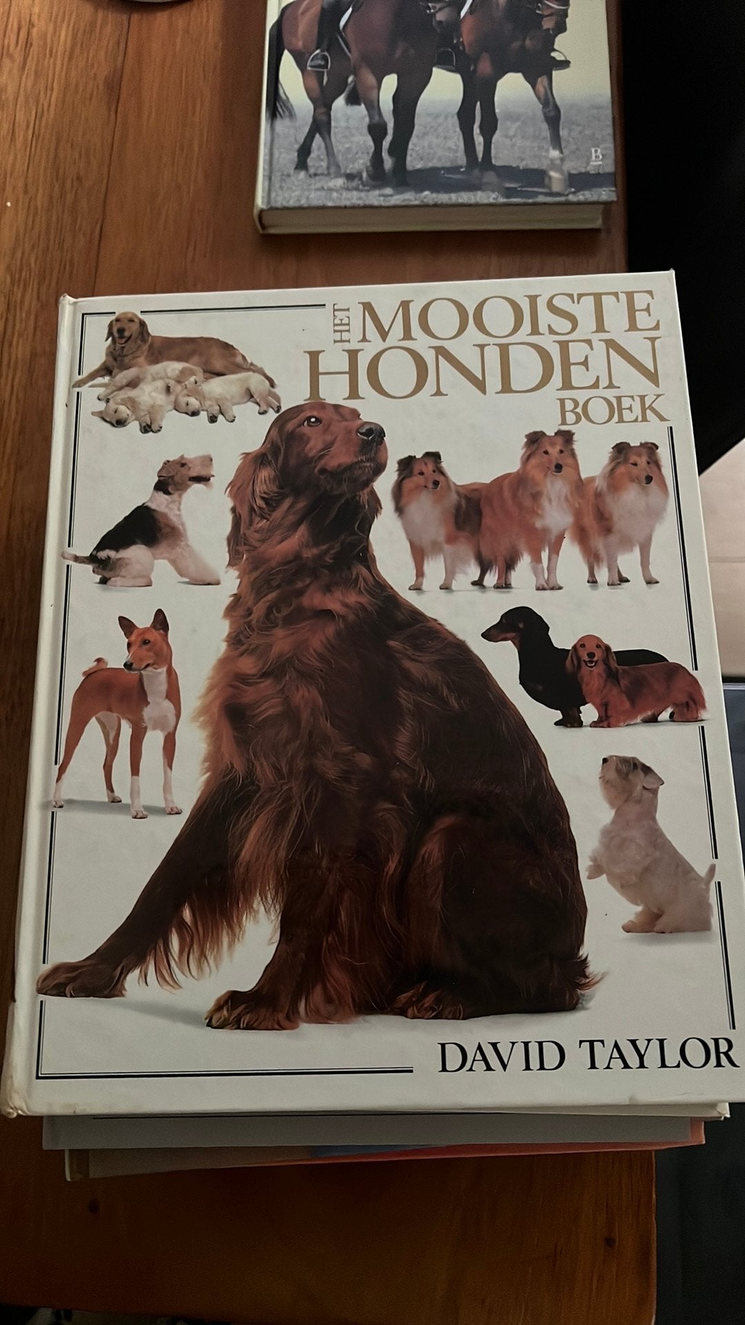 Het mooiste hondenboek, Ophalen of Verzenden, Zo goed als nieuw