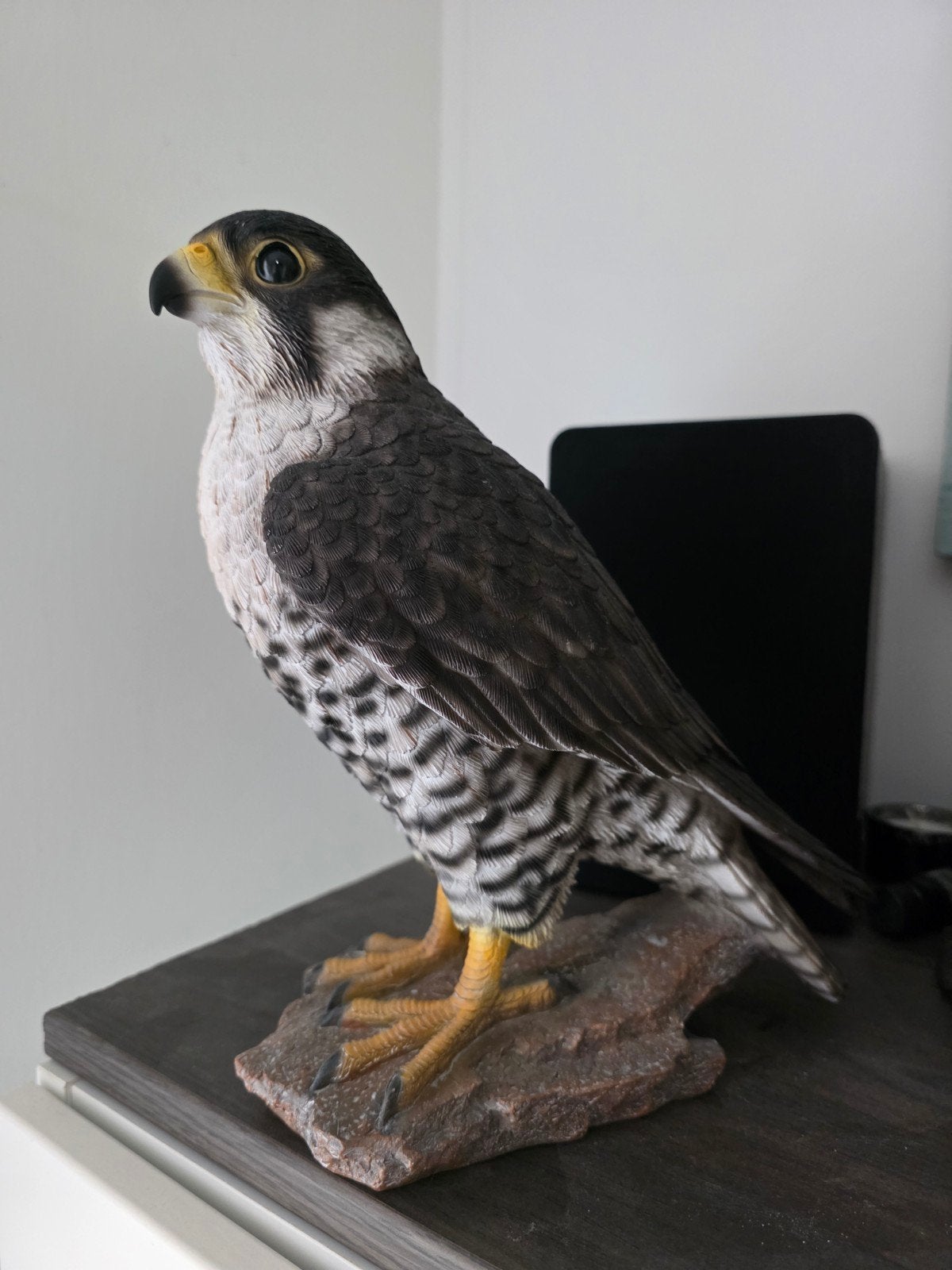 Gedetailleerd beeld van een valk - Decoratie, Ophalen of Verzenden, Gebruikt, Dier