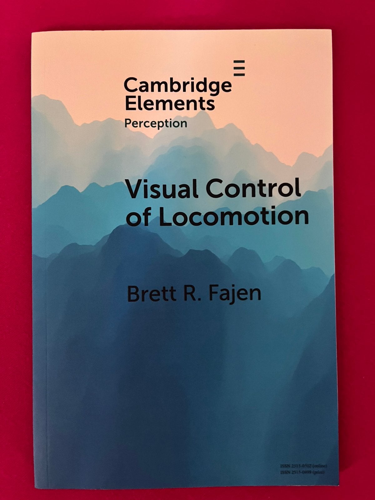 Visual Control of Locomotion, Boeken, Ophalen of Verzenden, Beta, Zo goed als nieuw, HBO