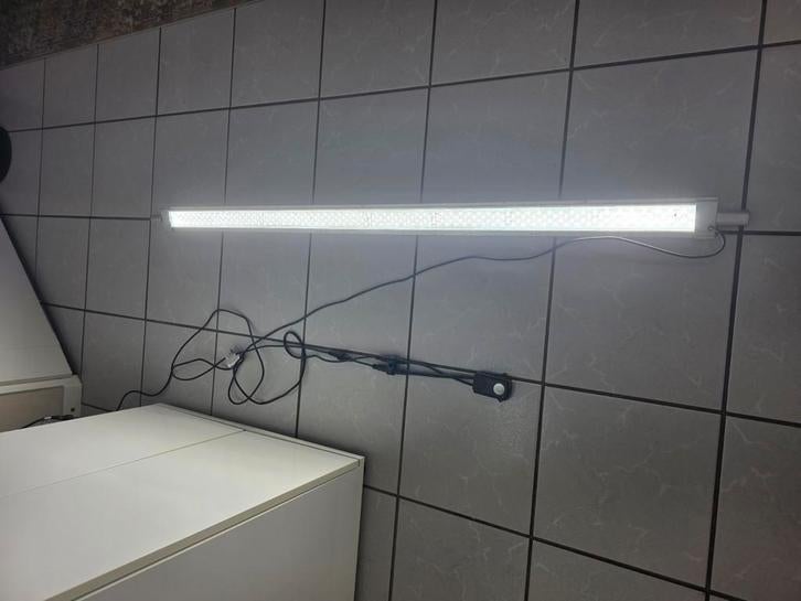 150cm jbl led verlichting aquarium., Vis, Zoetwatervis, Schoolvis
