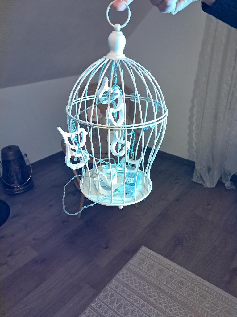 Leuke decoratie vogelkooi, Huis en Inrichting, Woonaccessoires | Overige, Ophalen, Zo goed als nieuw