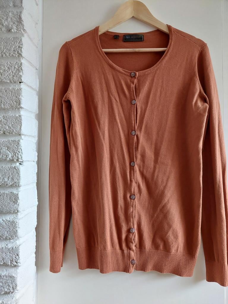 Vest roestbruin, Maat 38/40 (M), Bruin, Ophalen of Verzenden, Zo goed als nieuw