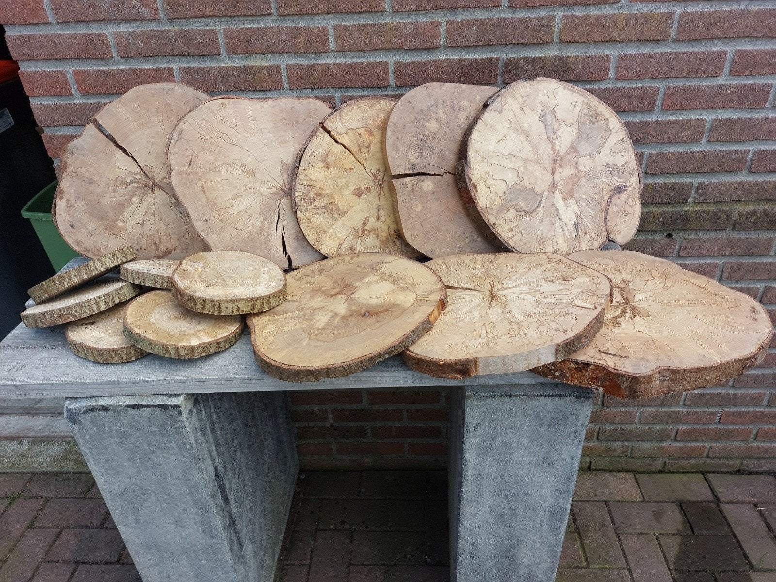 Diverse Boomschijven - Gelakt en Natuurlijk Hout, Ophalen