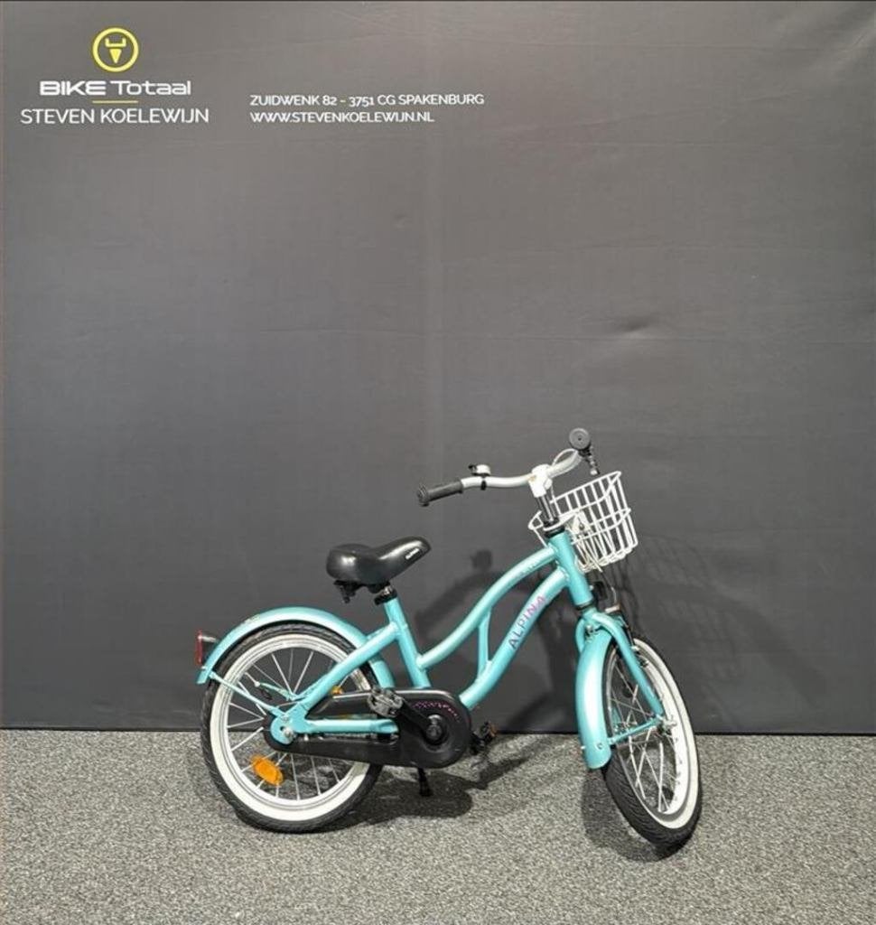Alpina Ocean met Terugtraprem, Ophalen, Gebruikt, 16 inch