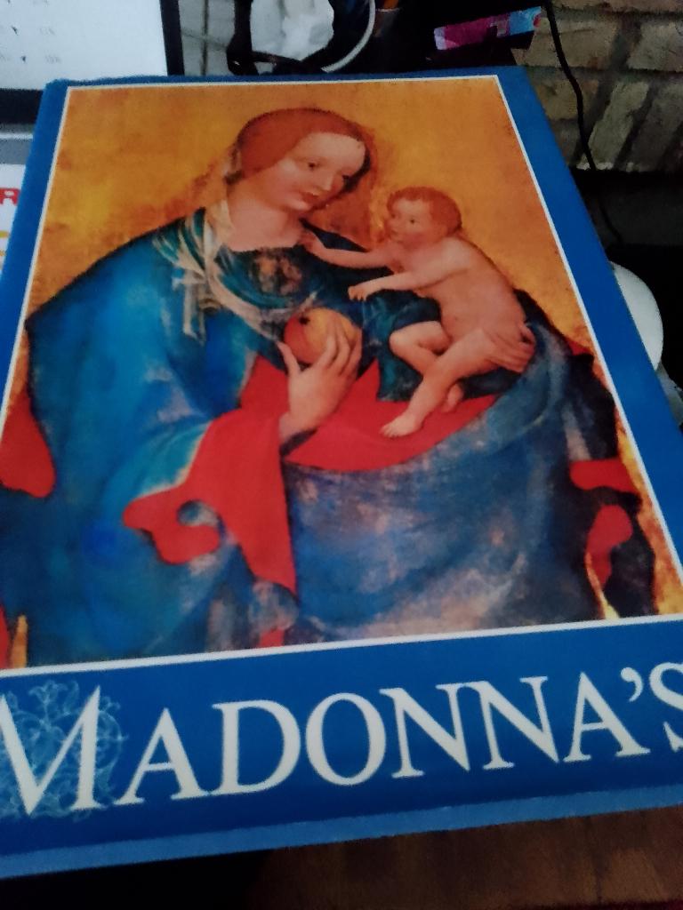 boek madonna s, Ophalen, Gelezen, Christendom | Katholiek
