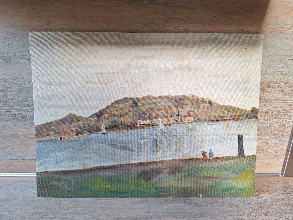 Schilderij op plaat - 50 x 37 cm, Ophalen, Minder dan 50 cm, Gebruikt, Schilderij