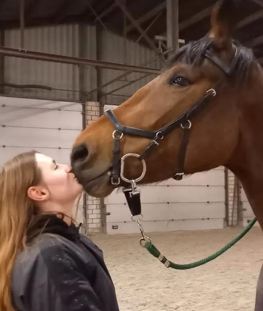 Gezocht: Paard te lease (verplaatsbaar), Dieren en Toebehoren, Ophalen of Verzenden, Dressuur