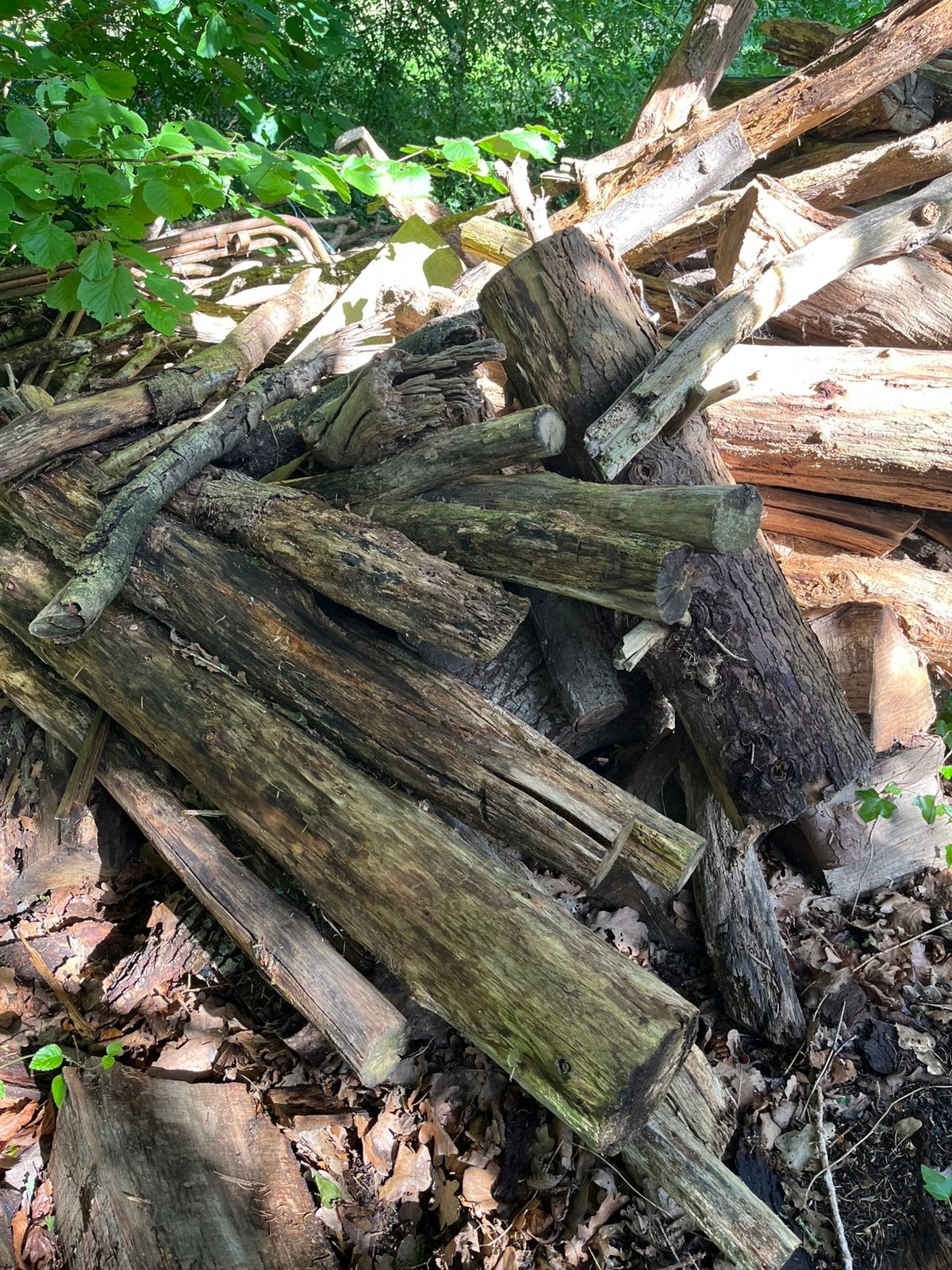 Haardhout, Minder dan 3 m³, Ophalen
