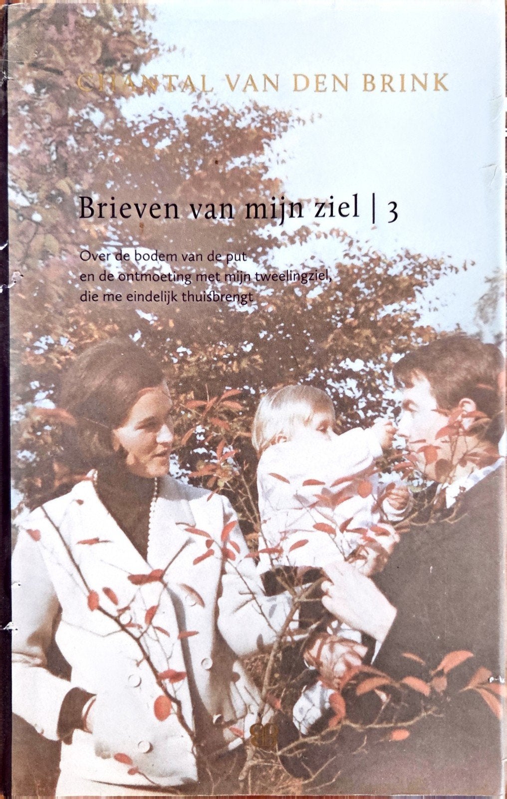Brieven van mijn ziel | 3 - Chantal van den Brink, Verhaal of Roman, Chantal van den Brink, Ophalen of Verzenden, Zo goed als nieuw