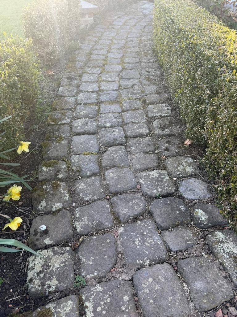 Echte oude kasseien, Ophalen, Gebruikt, Overige typen, Natuursteen