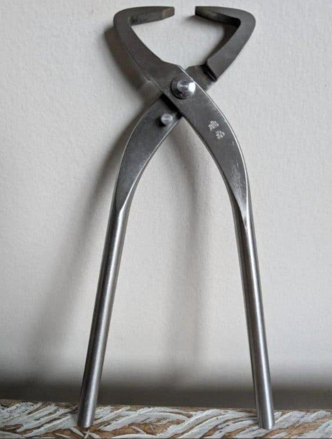 Bonsai boom split tang 21cm, Bloeit niet, Halfschaduw, Minder dan 100 cm, Overige soorten