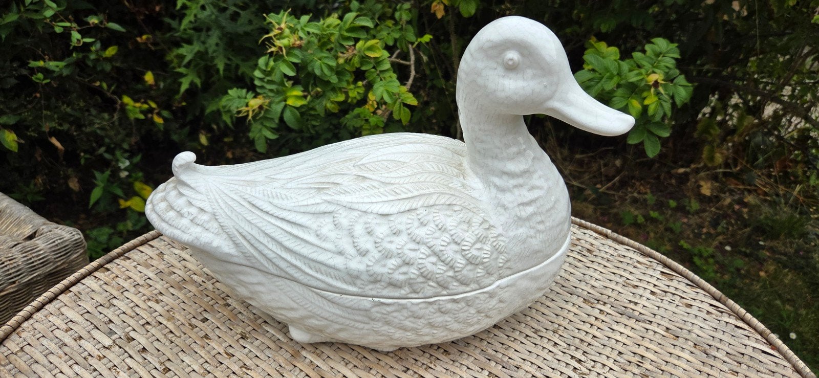 Grote vintage eendenterrine, Antiek en Kunst, Ophalen of Verzenden