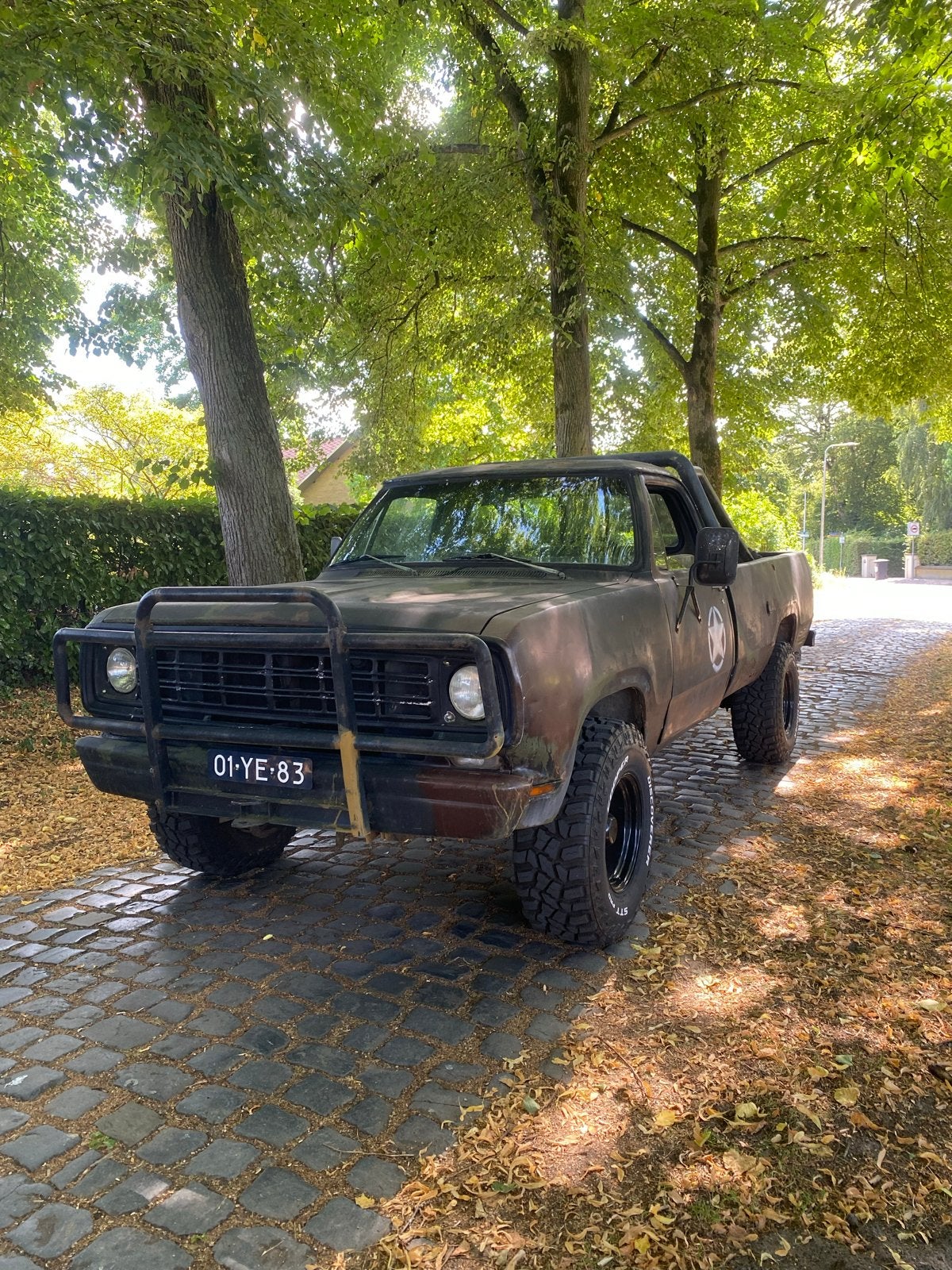 Dodge w200 1976 apk vrij benzine & lpg, Auto's, Leder, 5200 cc, Particulier, Geïmporteerd