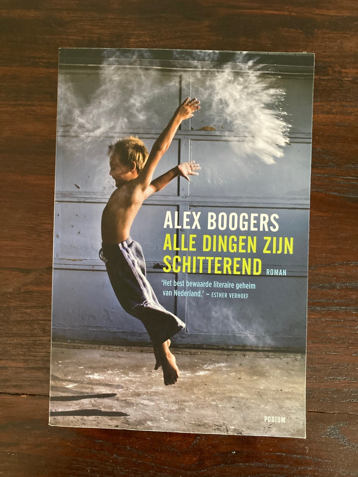 Alle dingen zijn schitterend - Alex Boogers (Roman), Ophalen of Verzenden, Zo goed als nieuw, Nederland