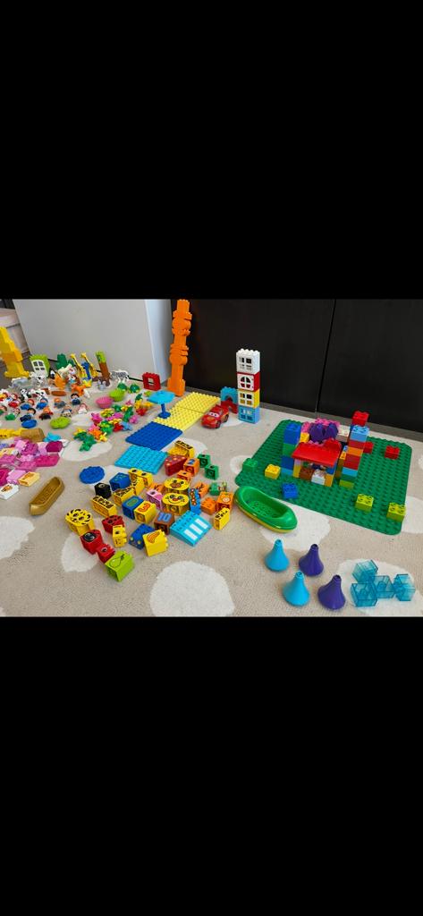 Grote Duplo collectie met trein, dieren en bouwstenen, Ophalen, Gebruikt