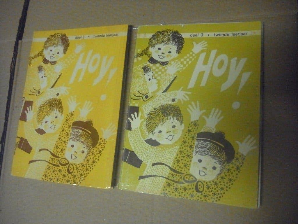 boek hoy 2x, Boeken, Ophalen of Verzenden, Zo goed als nieuw, Fictie algemeen