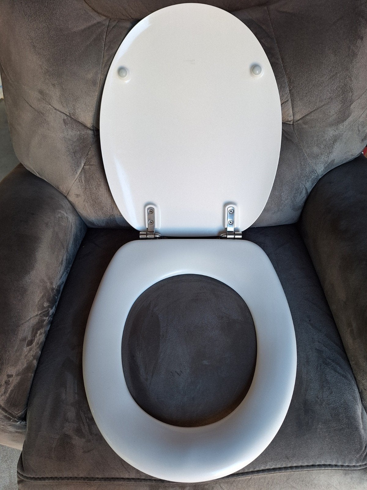 W.C.bril, Doe-het-zelf en Verbouw, Sanitair, Ophalen of Verzenden, Toilet