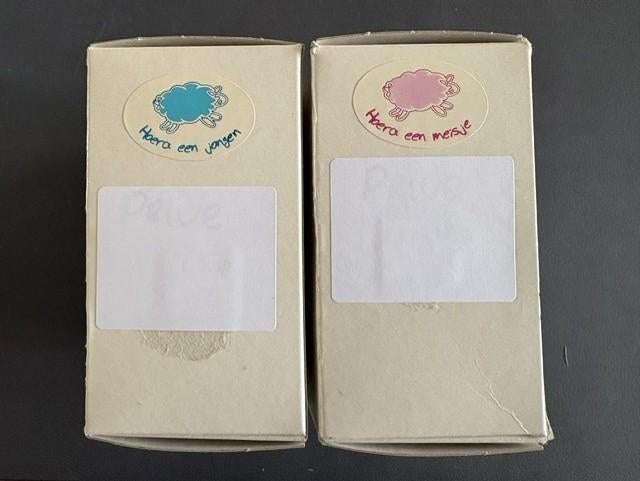 plak stickers hoera een meisje of hoera een zoon, Ophalen of Verzenden, Nieuw