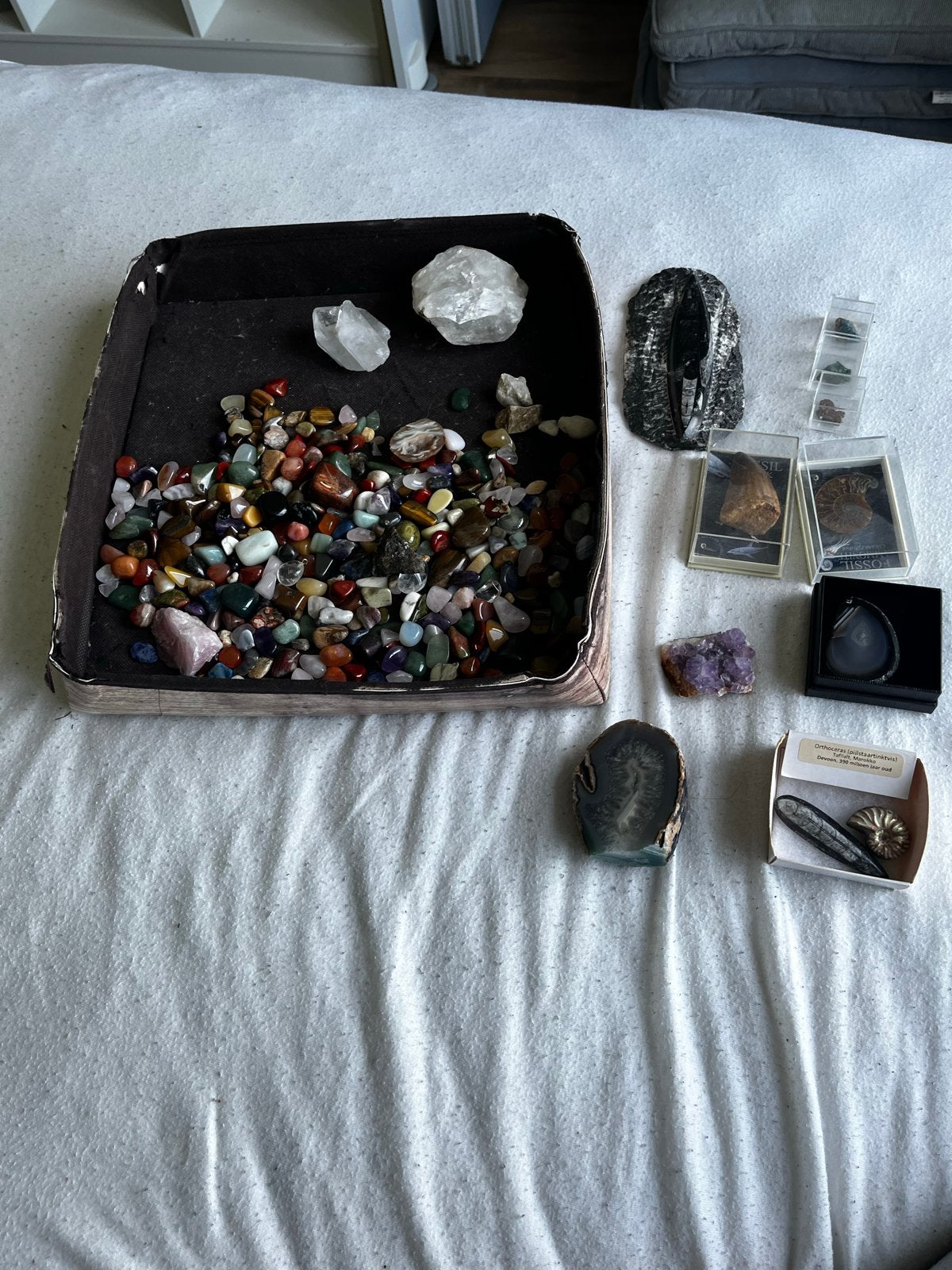 Grote collectie mineralen, fossielen en edelstenen, Ophalen of Verzenden, Mineraal