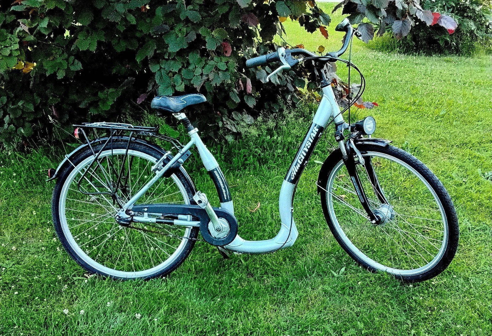 Citystar Dames Moederfiets lage brede instap 28-inch, Versnellingen, Zo goed als nieuw, 50 tot 53 cm, Schijfrem