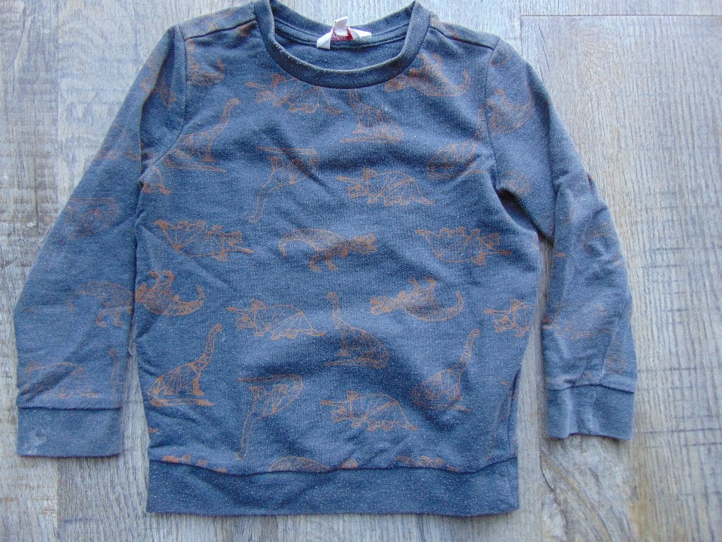 Sweater trui grijs dino's maat 110 truitje, Gebruikt, Trui of Vest, Besties, Ophalen of Verzenden