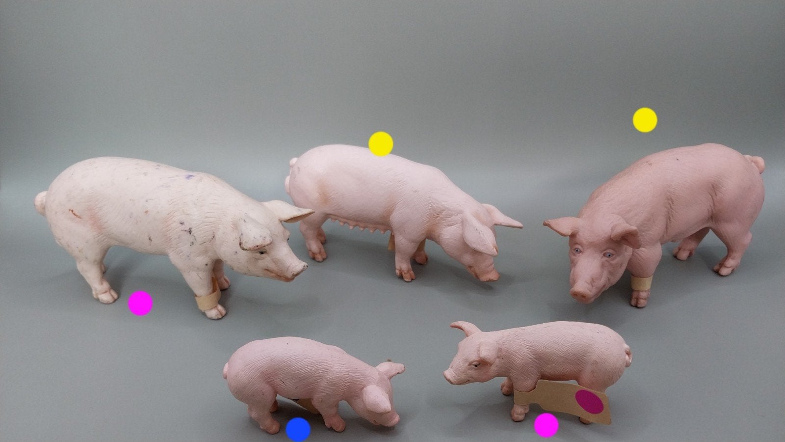 schleich varkens, Ophalen of Verzenden, Gebruikt, Paard, Beeldje of Figuurtje