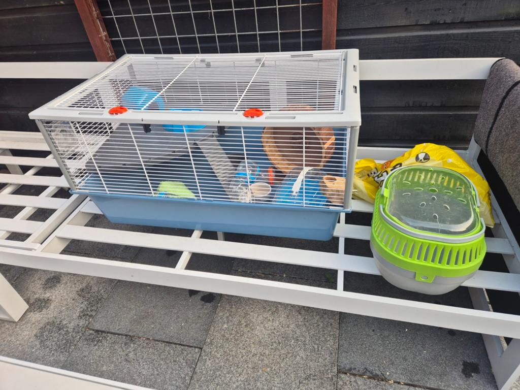 Hamster/konijnen hok, Ophalen of Verzenden, Hok, Hamster, Minder dan 60 cm