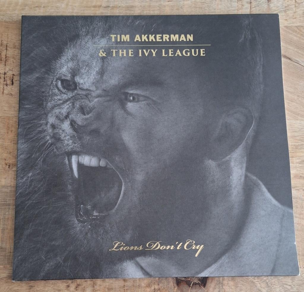 Tim Akkerman & The Ivy League - Lions Don't Cry LP, Ophalen of Verzenden, Zo goed als nieuw, 12 inch